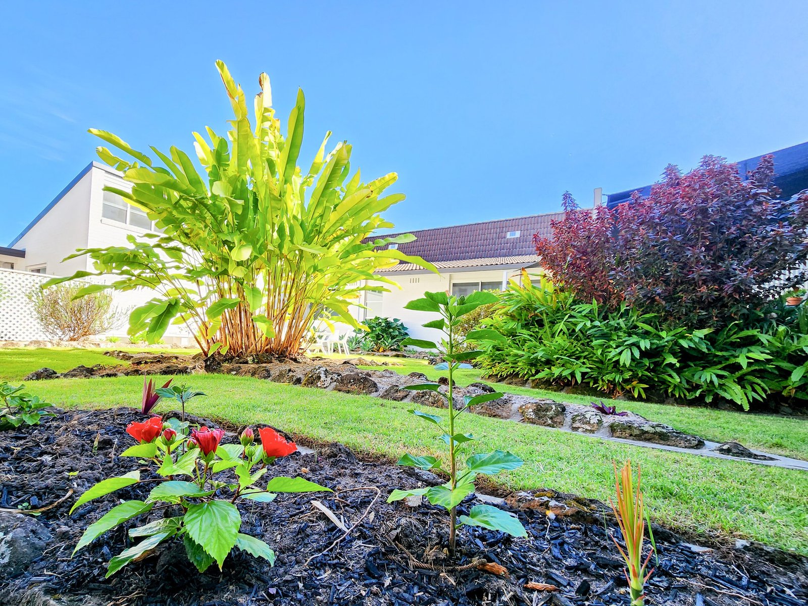 Get In Touch The Stella Motel Yamba